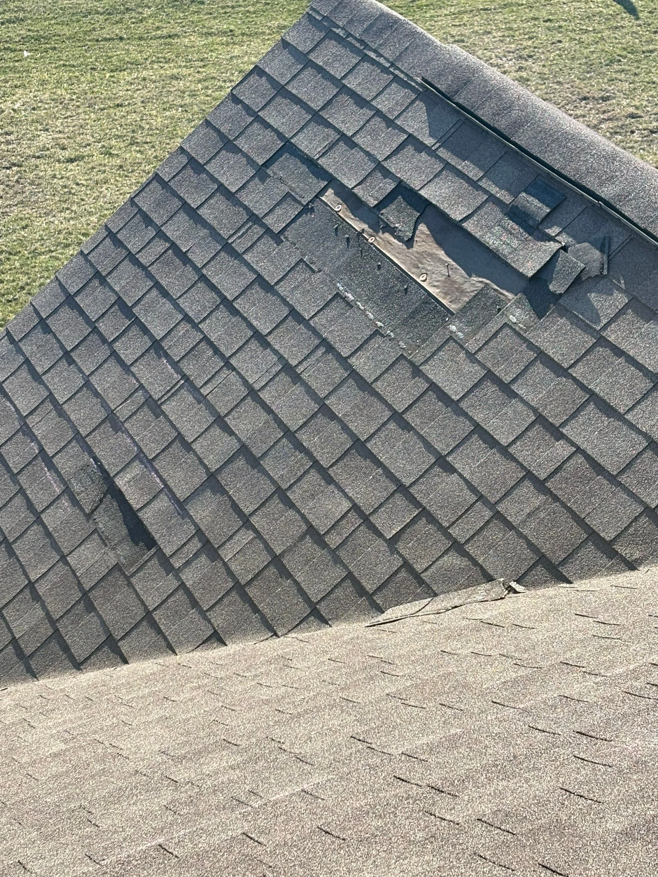 Homeowners Insurance Water Damage Coverage in Holliday Farms